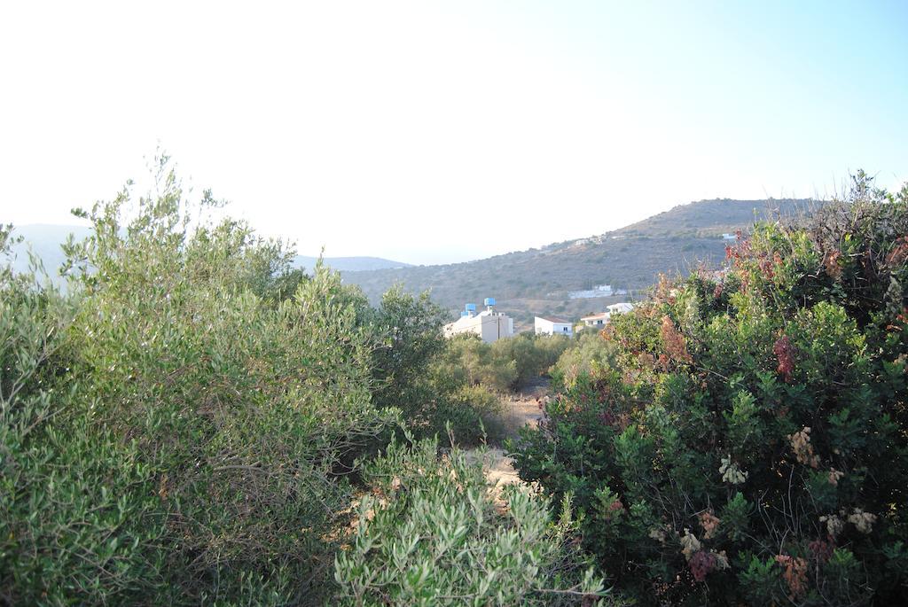 Sailors Apartments Elounda Buitenkant foto